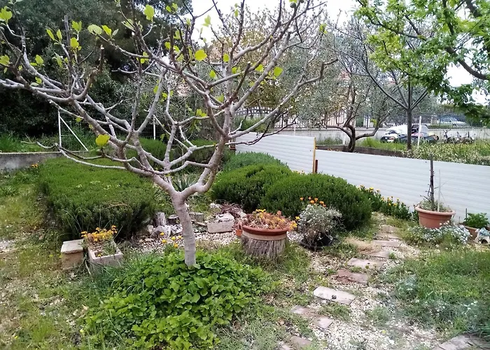 דירה Vanja Kara Biograd - With Terrace ביוגראד נה מורו