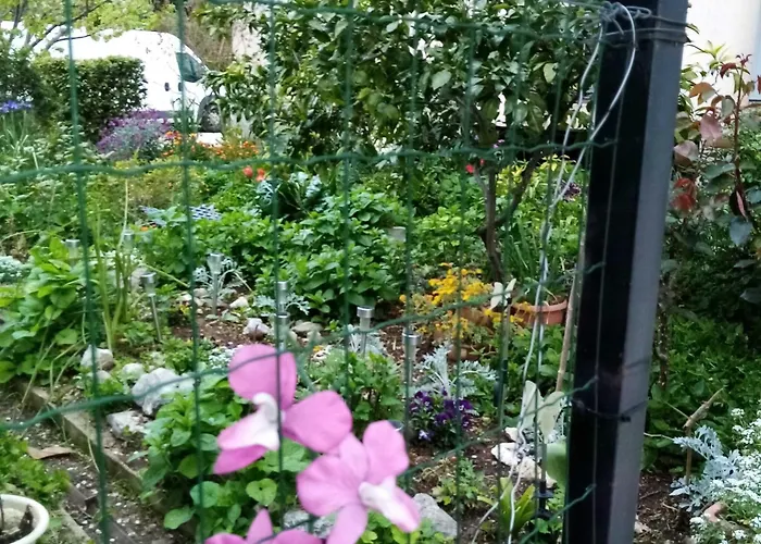 דירה Vanja Kara Biograd - With Terrace *