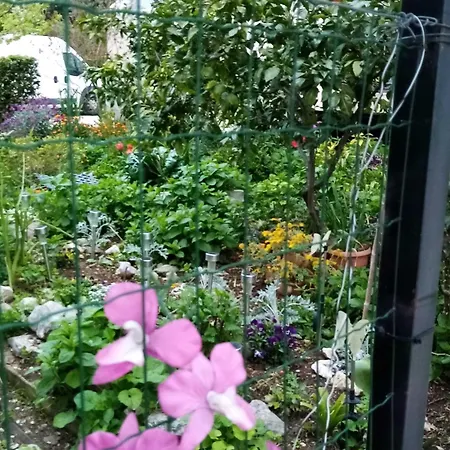 Appartement Vanja Kara Biograd - With Terrace *