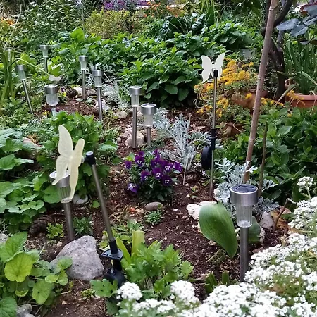 Appartement Vanja Kara Biograd - With Terrace Biograd Na Moru