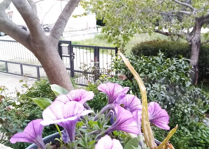 Vanja Kara Biograd - With Terrace Appartement *