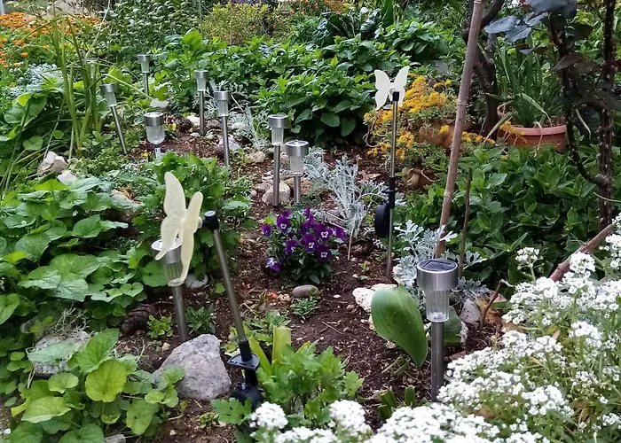 Appartement Vanja Kara Biograd - With Terrace Biograd Na Moru